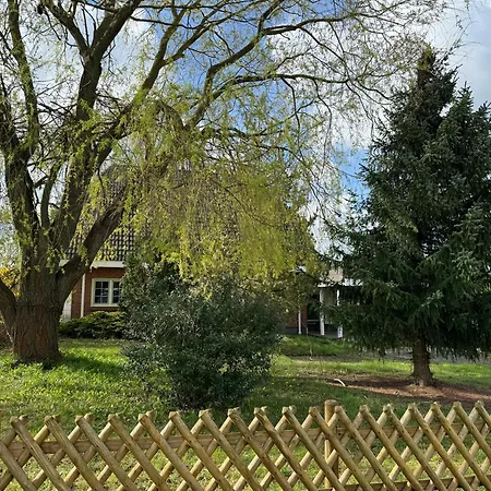 Chausseestr 11b * Bad Saarow